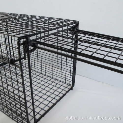 China high quality Stainless steel dog cage Supplier